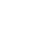 expert-icon